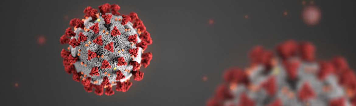 Coronavirus header, picture magnified red Coronavirus molecule.