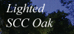Thumb Button: Lighted SCC Oak