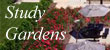 Thumb Button: Study Gardens