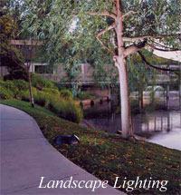 Photo: Garden Areas