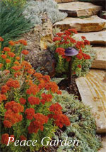 Photo: Peace Garden