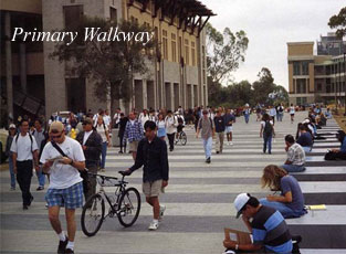 Photo: Primary Walkway